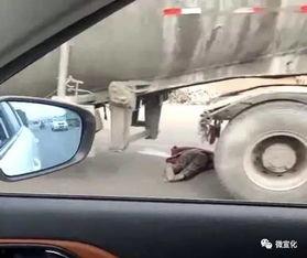 河南车友爆料视频最新版  第3张